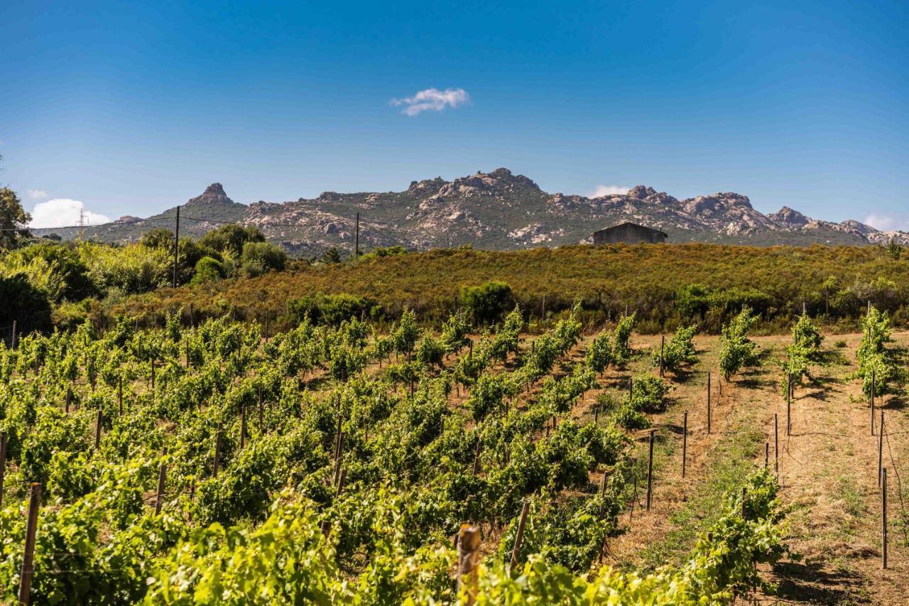 Locanda In Vigna Arzachena Exterior photo