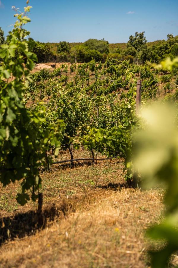 Locanda In Vigna Arzachena Exterior photo