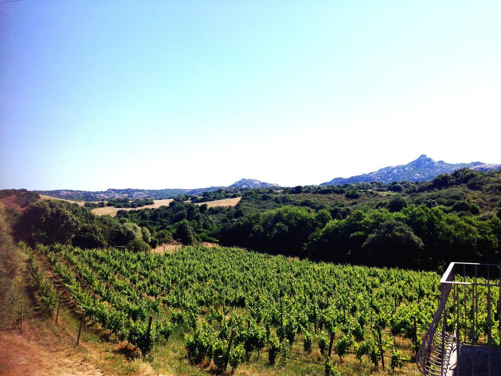 Locanda In Vigna Arzachena Exterior photo